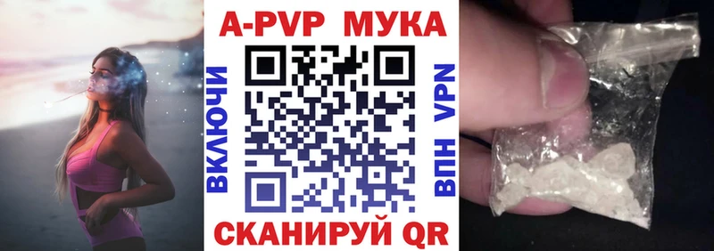 Купить где  Мезень  A PVP крисы CK 