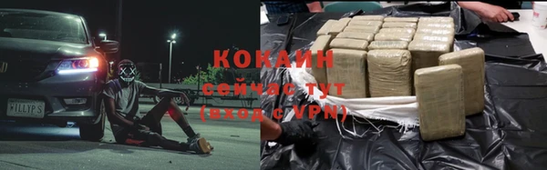 шишки Балабаново