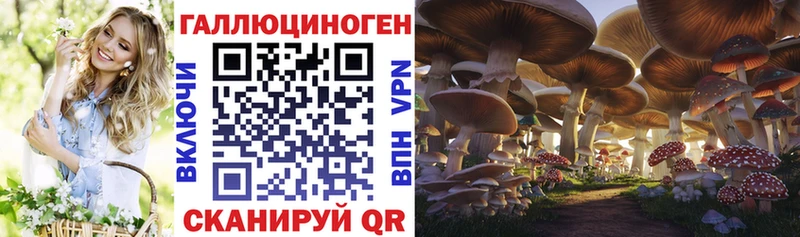 Псилоцибиновые грибы мицелий  Купить закладки  Мезень 